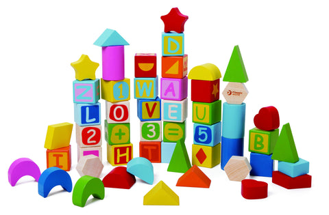 Wisdom Blocks 56pcs